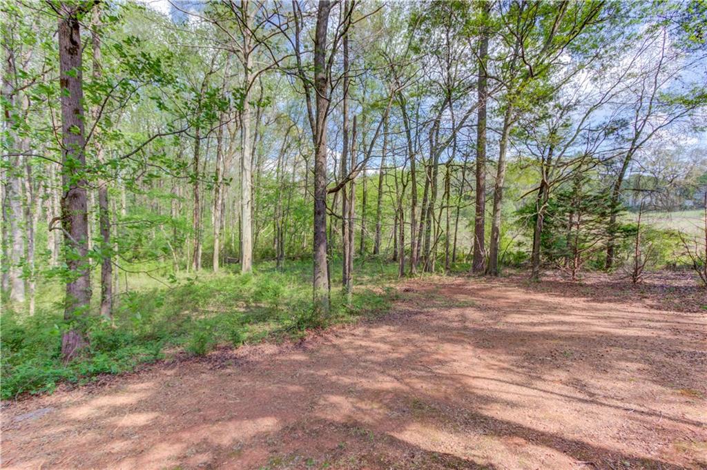 925 Nature Trail Bethlehem, GA 30620 - Photo 35 of 41 a view of a backyard