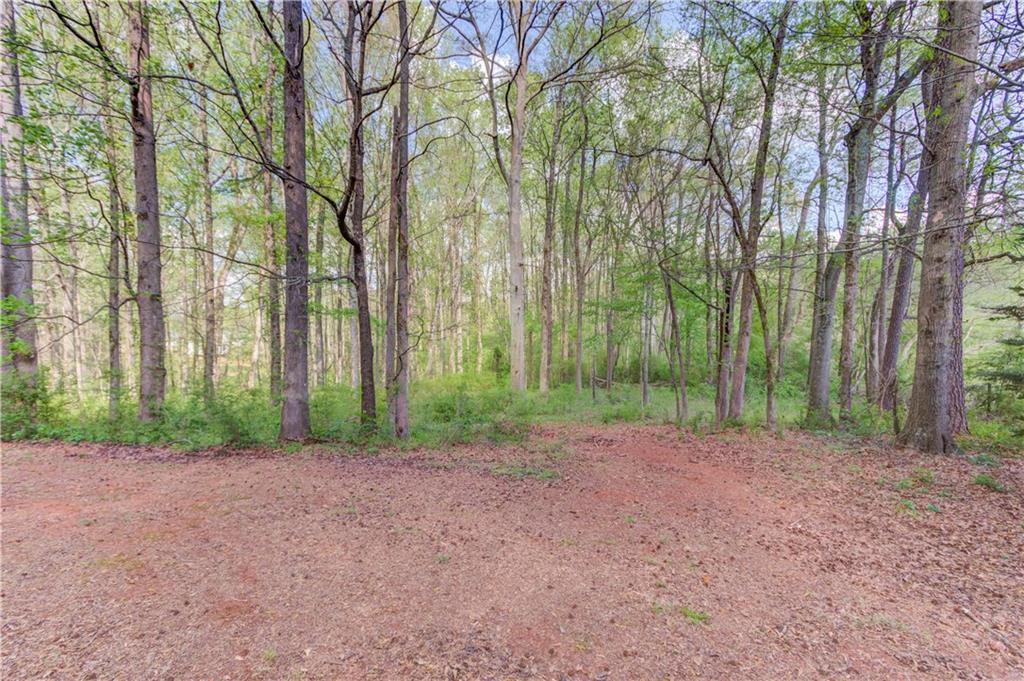 925 Nature Trail Bethlehem, GA 30620 - Photo 36 of 41 a view of a yard with trees
