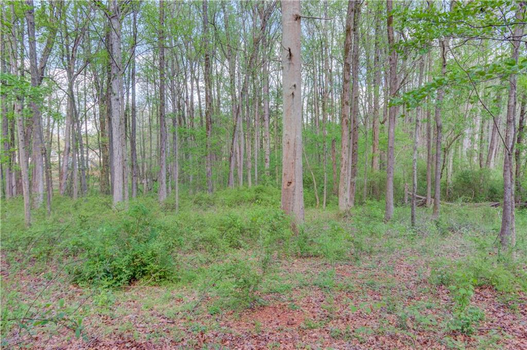 925 Nature Trail Bethlehem, GA 30620 - Photo 38 of 41 a view of outdoor space and green space