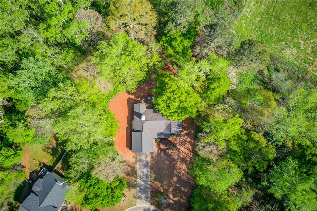925 Nature Trail Bethlehem, GA 30620 - Photo 39 of 41 an aerial view of a house with a yard and large trees