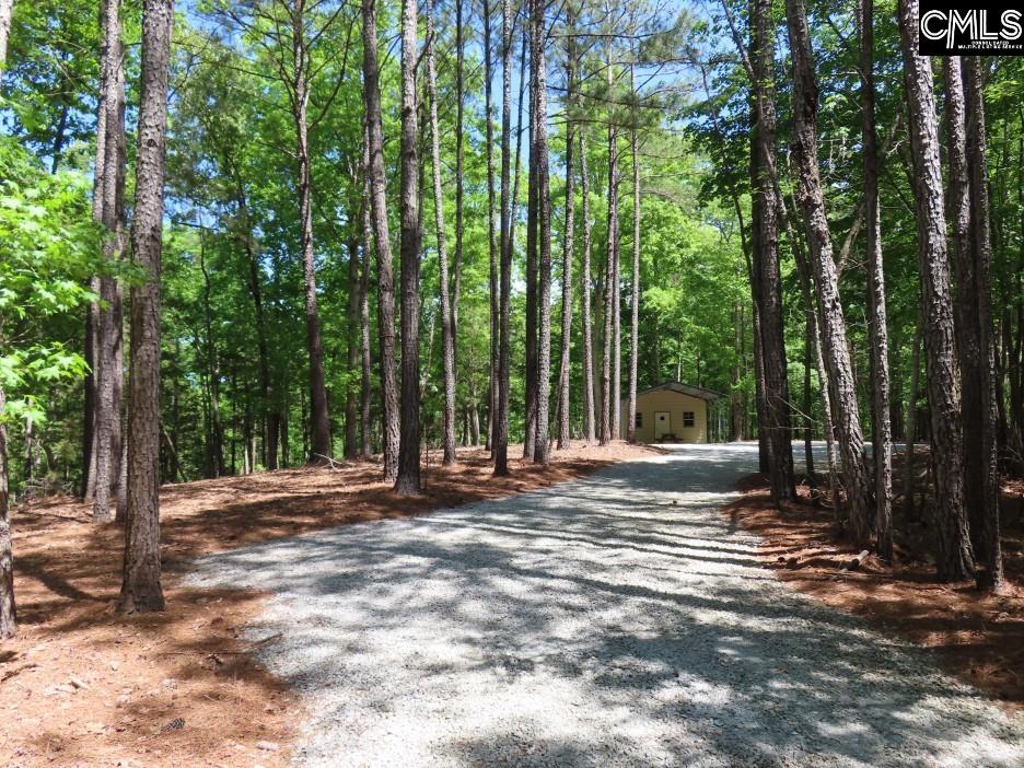 201 State Rd S-20-99 Blair, SC 29015 - Photo 10 of 61