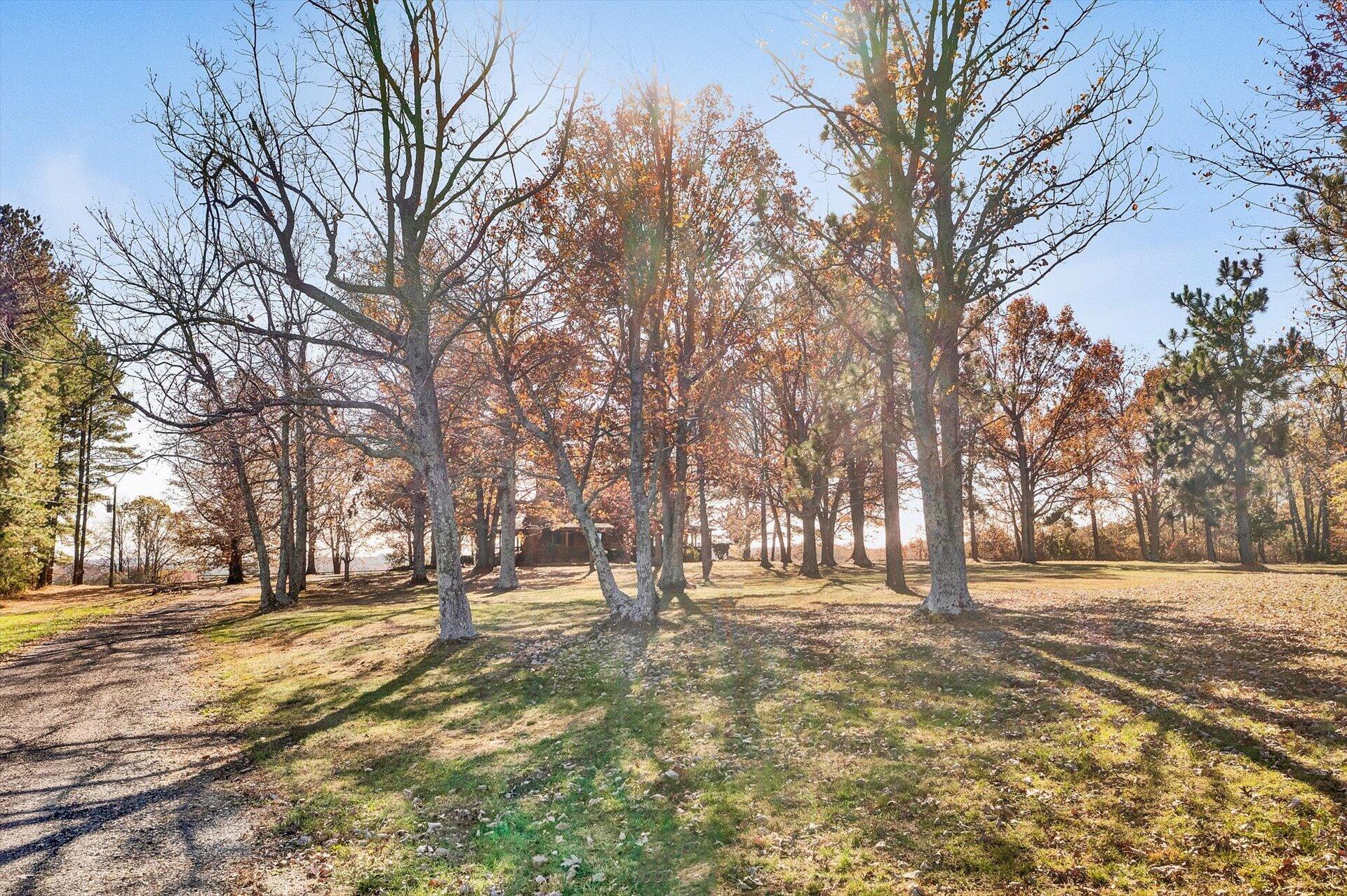 6473 Anderson Mill Road Chatham, VA 24531 - Photo 64 of 72 61-DJI_0573