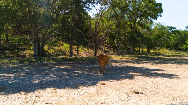 $8,450,000 | 1146 Sisterdale Road, Boerne, TX 78006