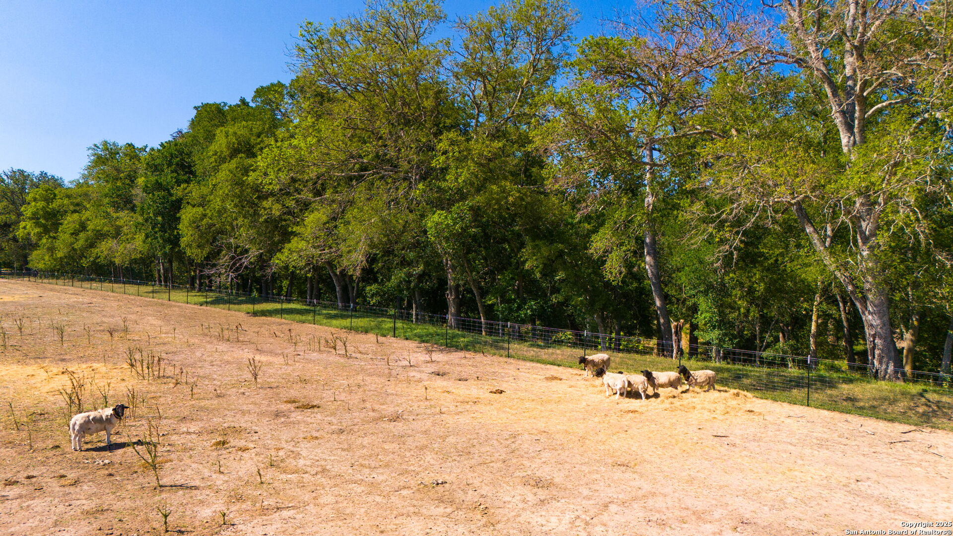 1146 Sisterdale Road Boerne, TX 78006 - Photo 67 of 94 a view of a yard with snow on the road
