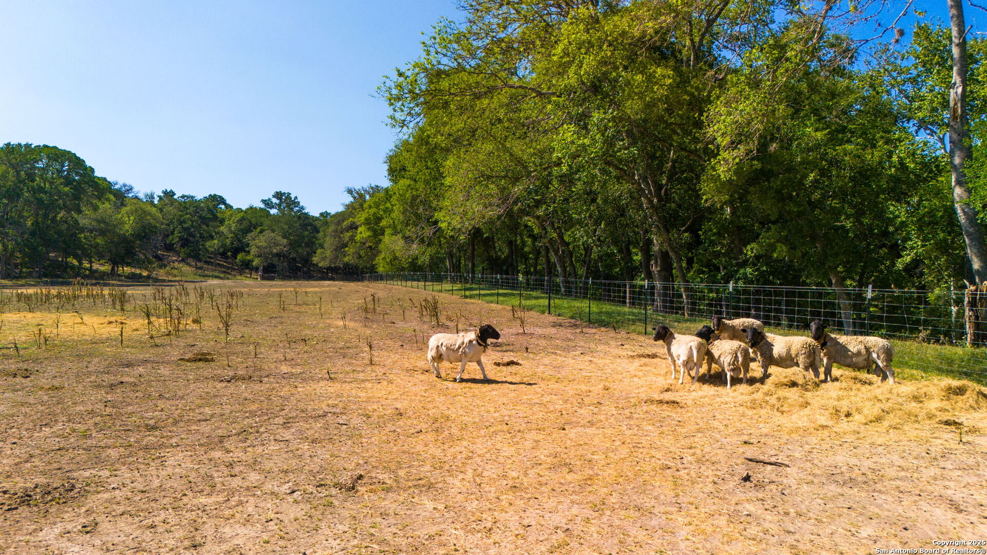 1146 Sisterdale Road Boerne, TX 78006 - Photo 69 of 94