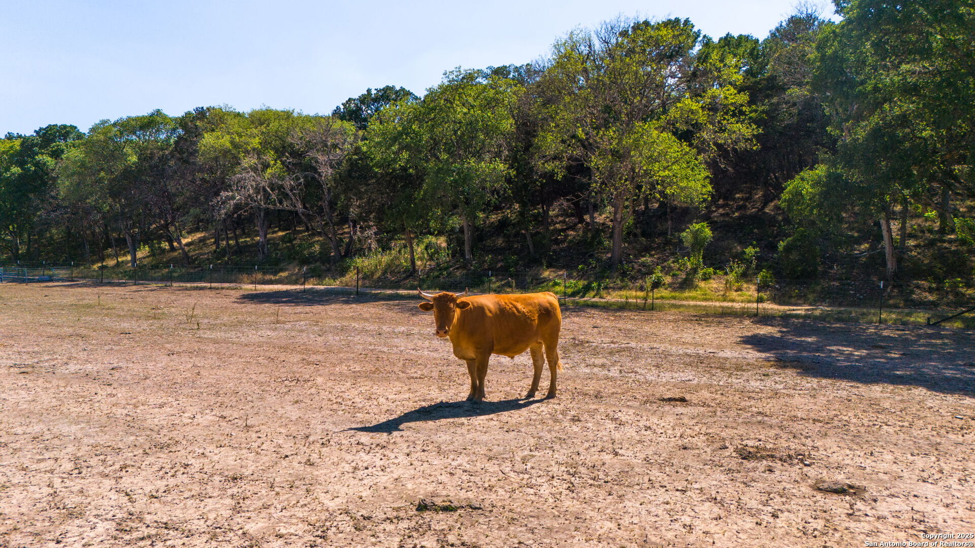 1146 Sisterdale Road Boerne, TX 78006 - Photo 70 of 94 a backyard of a house with lots of green space