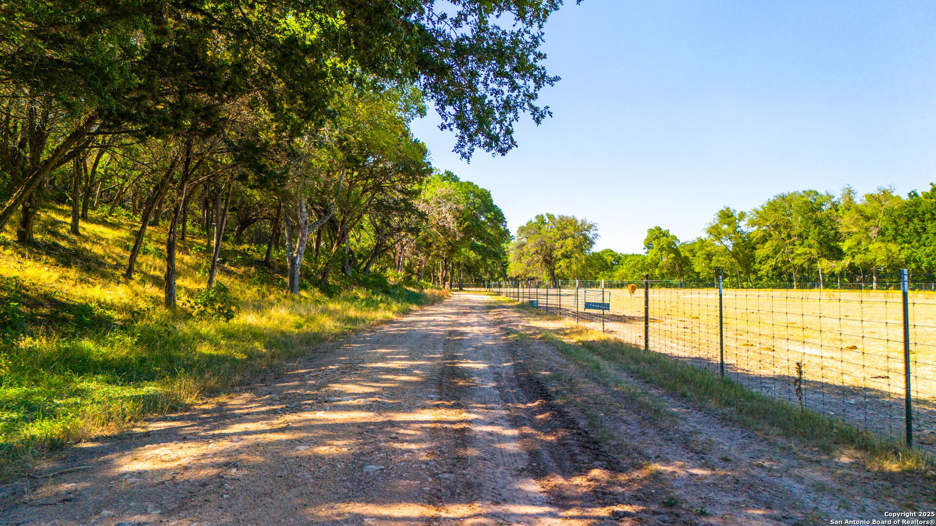 1146 Sisterdale Road Boerne, TX 78006 - Photo 72 of 94 a view of a yard with an outdoor space