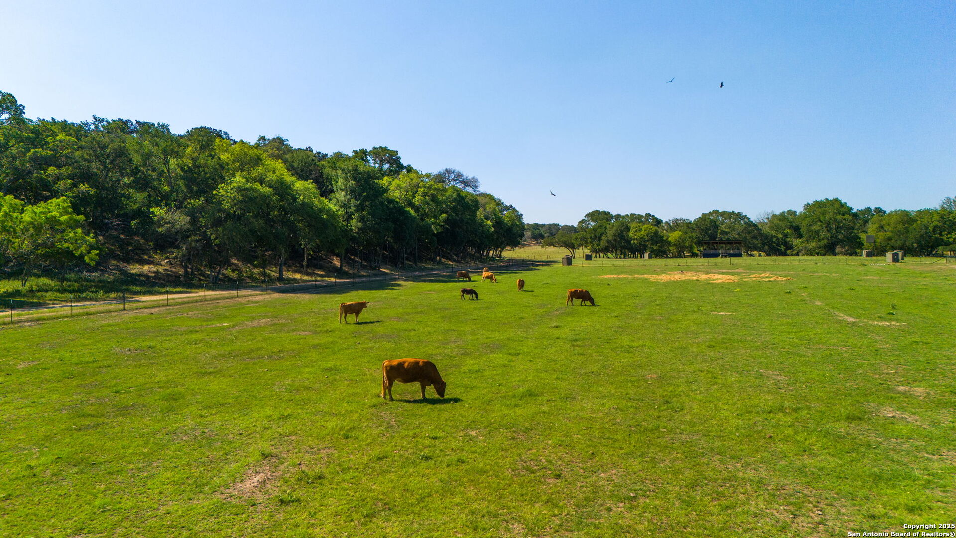 1146 Sisterdale Road Boerne, TX 78006 - Photo 83 of 94 a view of a golf course with a lake view