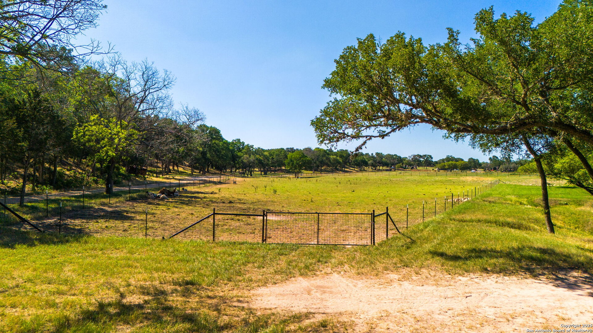 1146 Sisterdale Road Boerne, TX 78006 - Photo 85 of 94