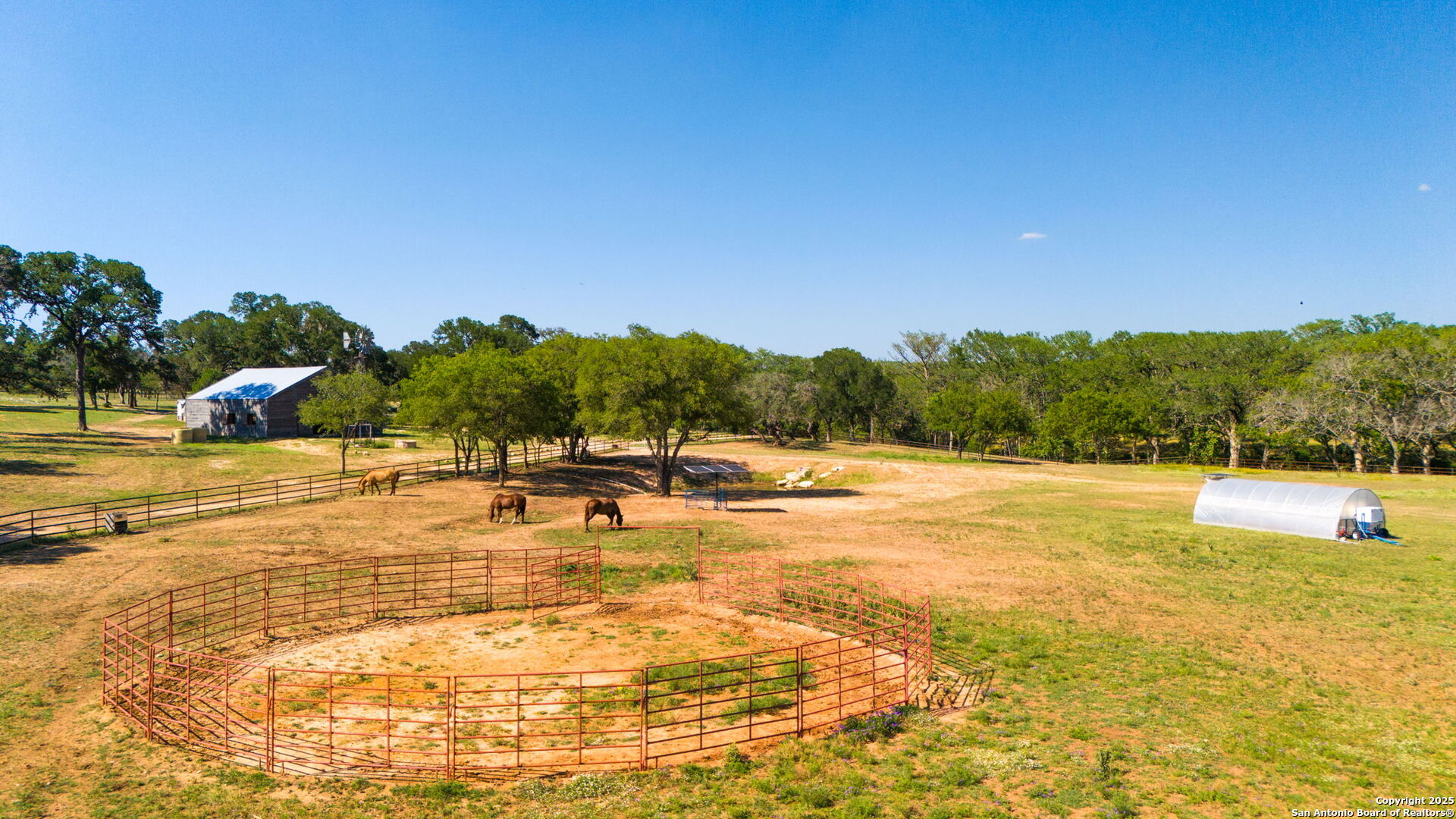 1146 Sisterdale Road Boerne, TX 78006 - Photo 87 of 94 a view of swimming pool with lawn chairs and large trees