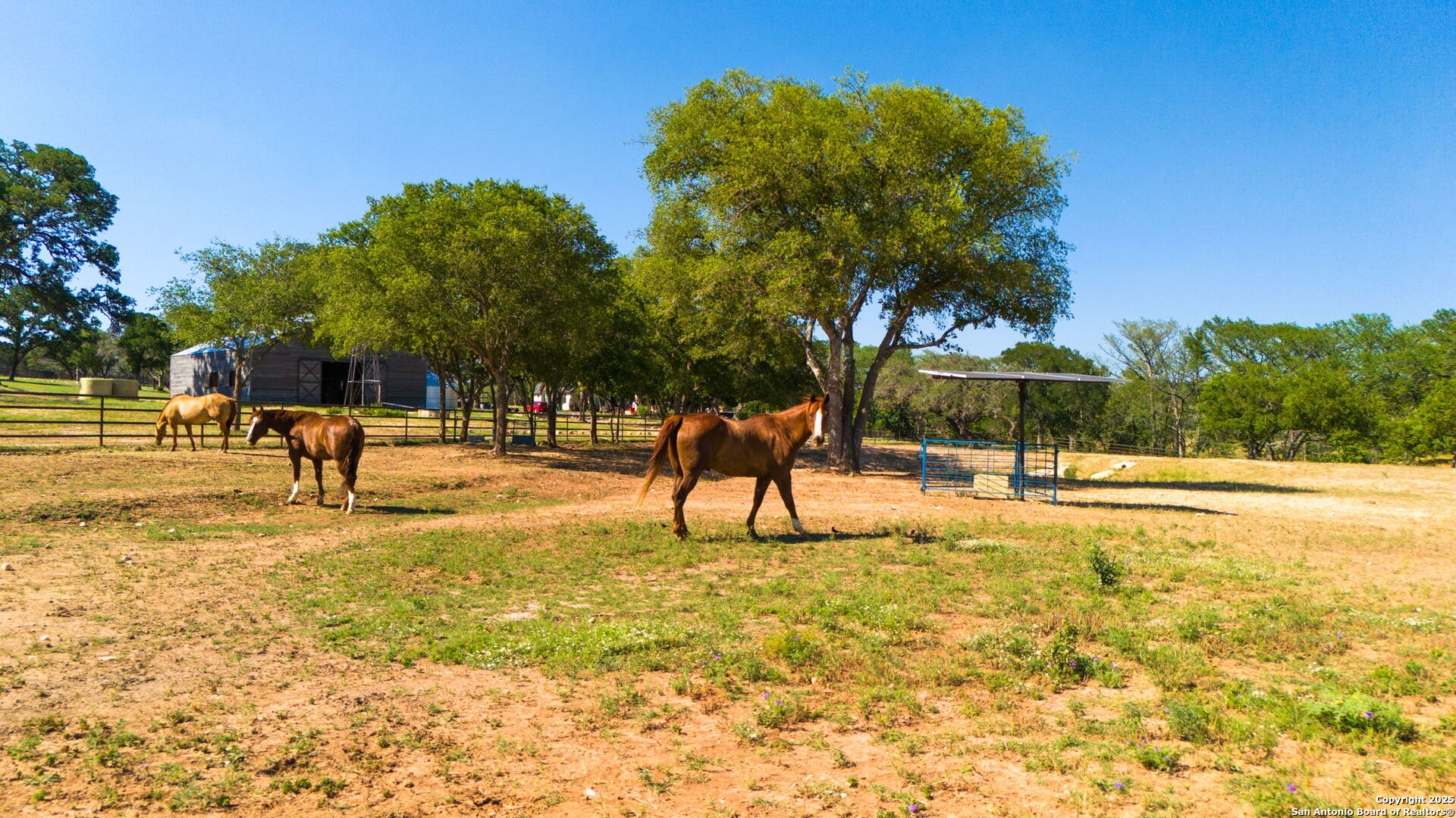 1146 Sisterdale Road Boerne, TX 78006 - Photo 88 of 94