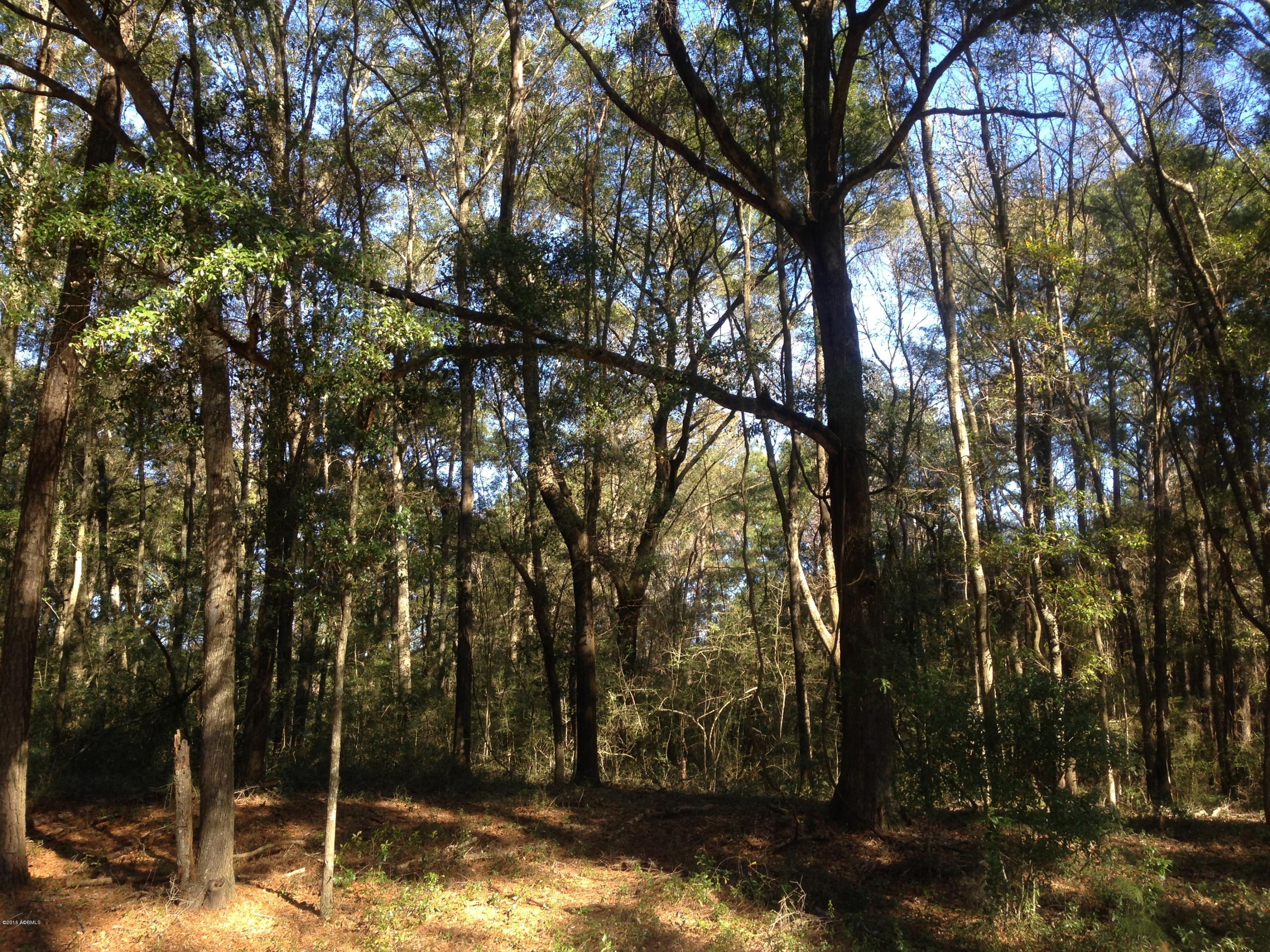 152 Brickyard Point Road South Beaufort, SC 29907 - Photo 2 of 4 IMG_0908