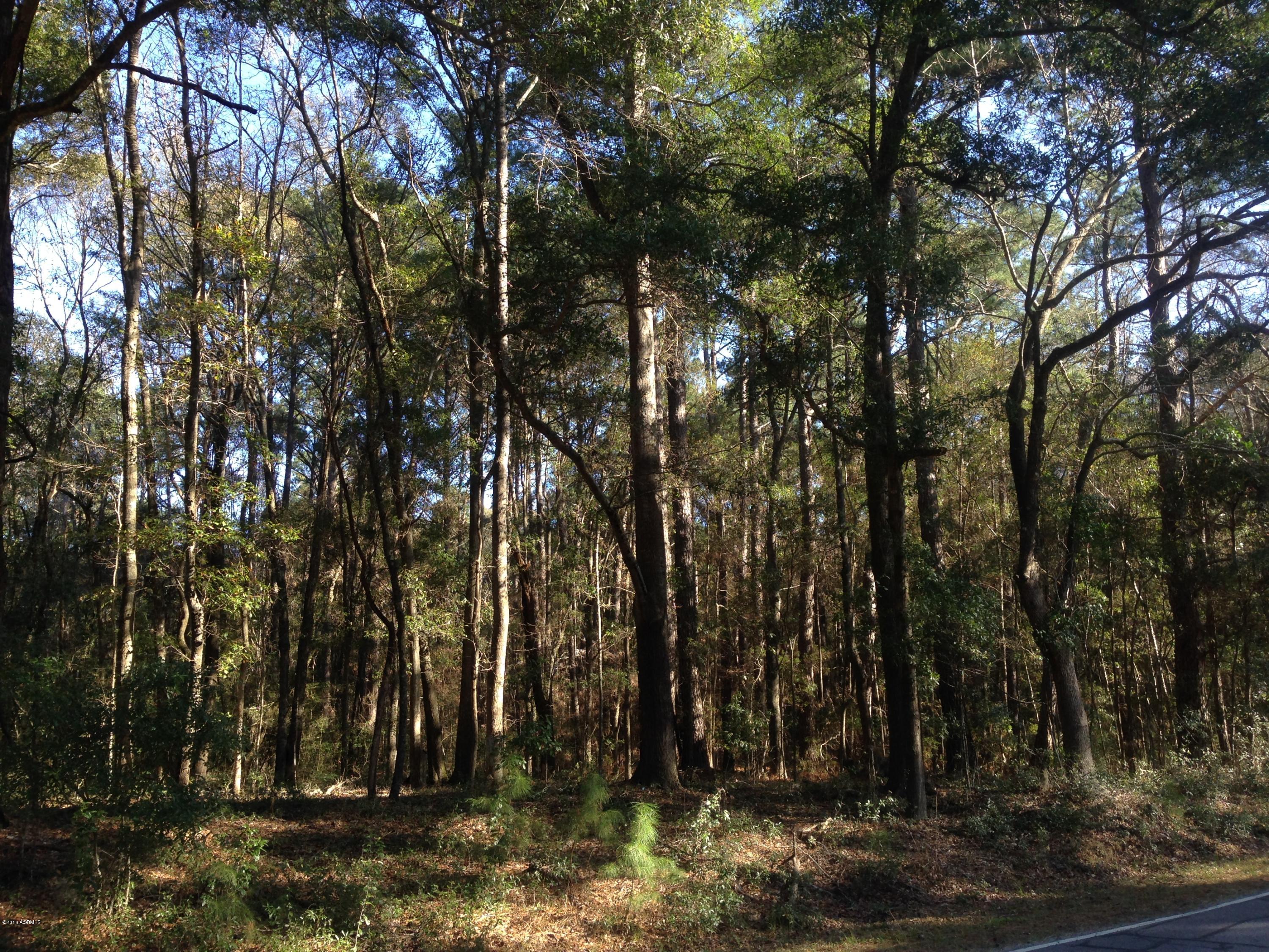 152 Brickyard Point Road South Beaufort, SC 29907 - Photo 3 of 4 IMG_0909