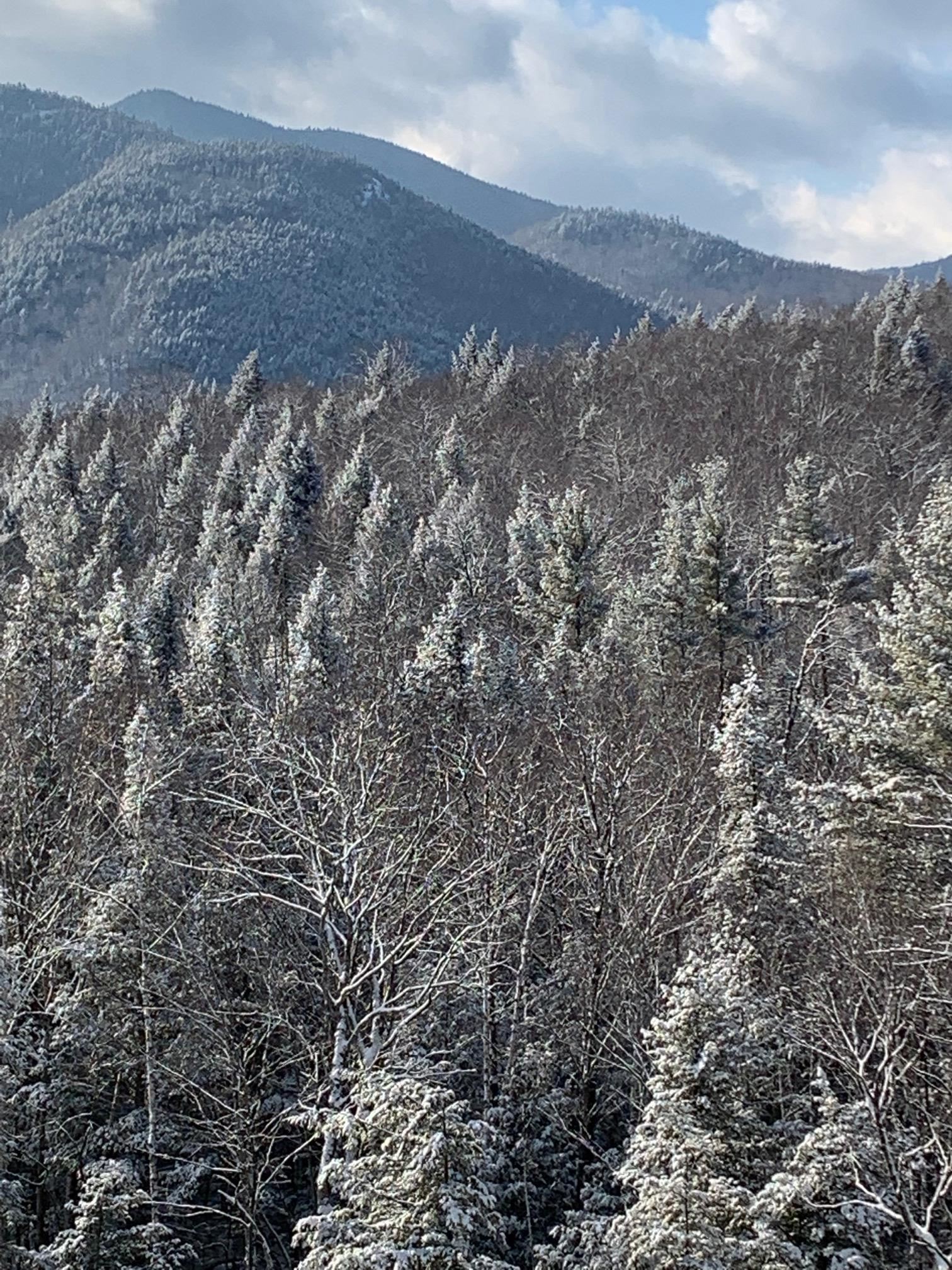 38 Table Rock Road Bartlett, NH 03812 - Photo 34 of 40