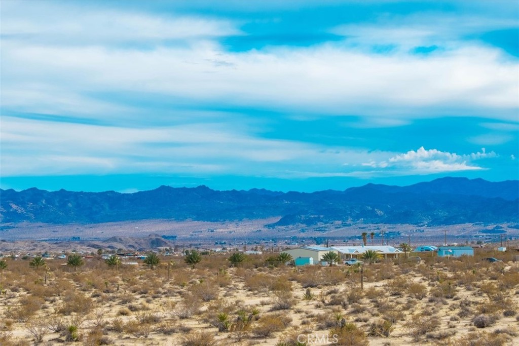 62155 Moonlight Mesa Street Joshua Tree, CA 92252 - Photo 12 of 29