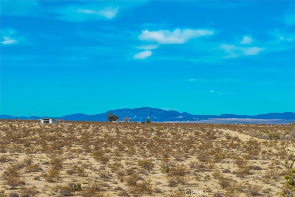 62155 Moonlight Mesa Street Joshua Tree, CA 92252 - Photo 16 of 29 a view of a field with an ocean view