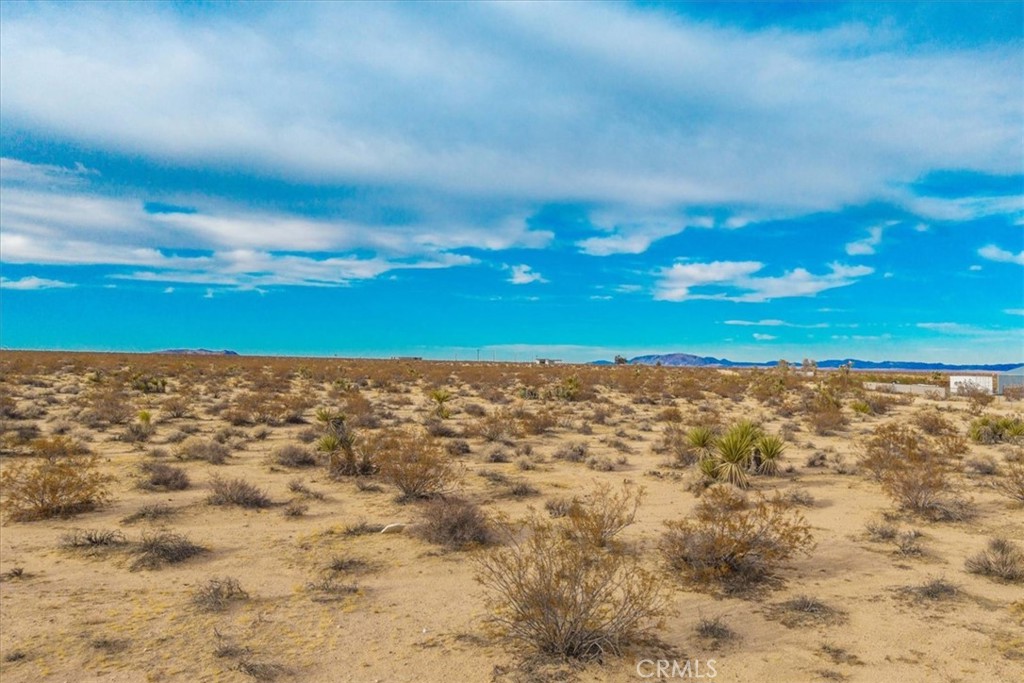 62155 Moonlight Mesa Street Joshua Tree, CA 92252 - Photo 19 of 29 a view of yard with swimming pool and green space