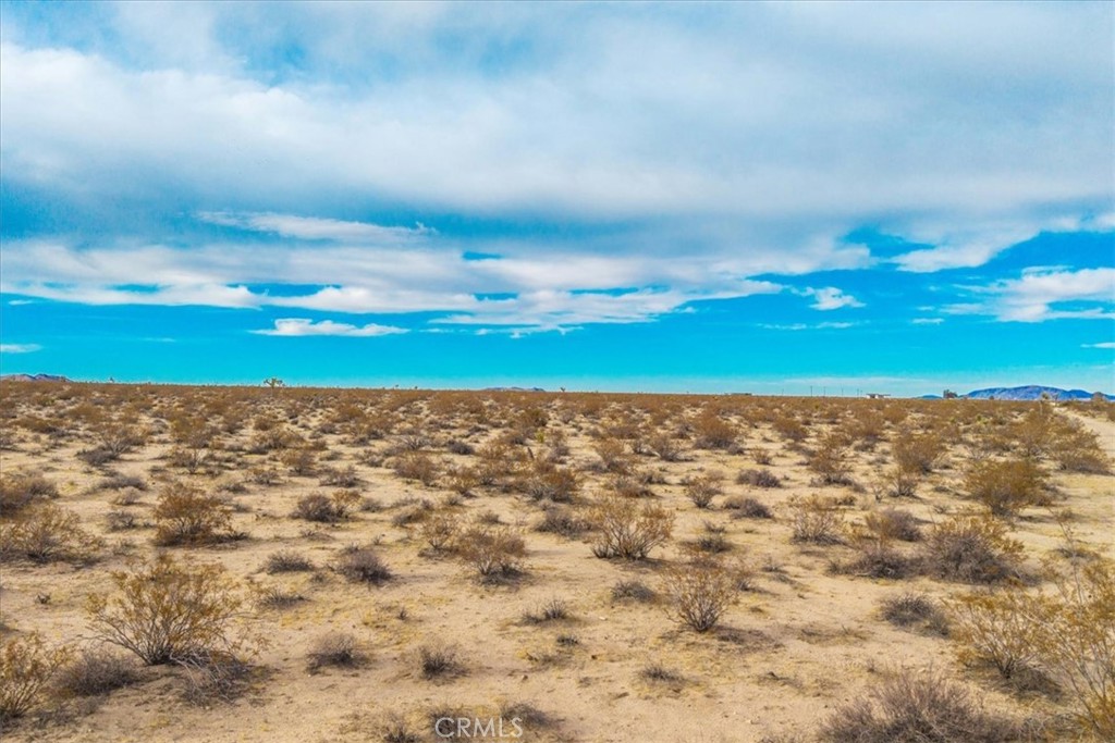 62155 Moonlight Mesa Street Joshua Tree, CA 92252 - Photo 2 of 29 a view of a yard with an ocean