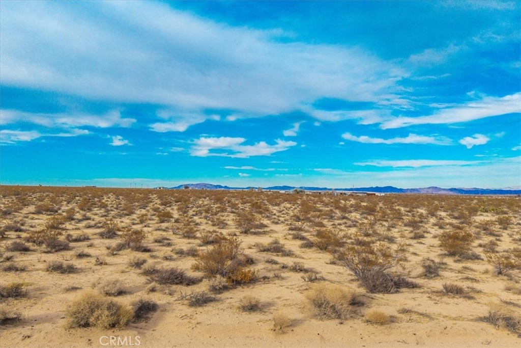 62155 Moonlight Mesa Street Joshua Tree, CA 92252 - Photo 21 of 29 a view of yard with wooden floor