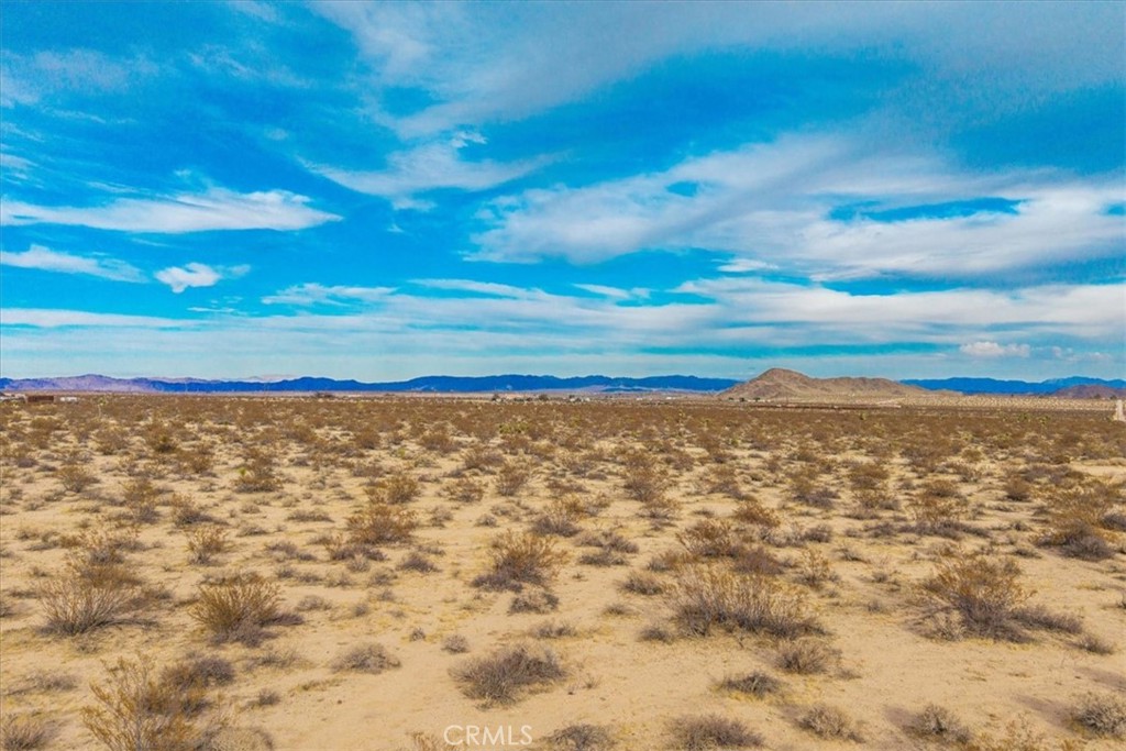 62155 Moonlight Mesa Street Joshua Tree, CA 92252 - Photo 22 of 29