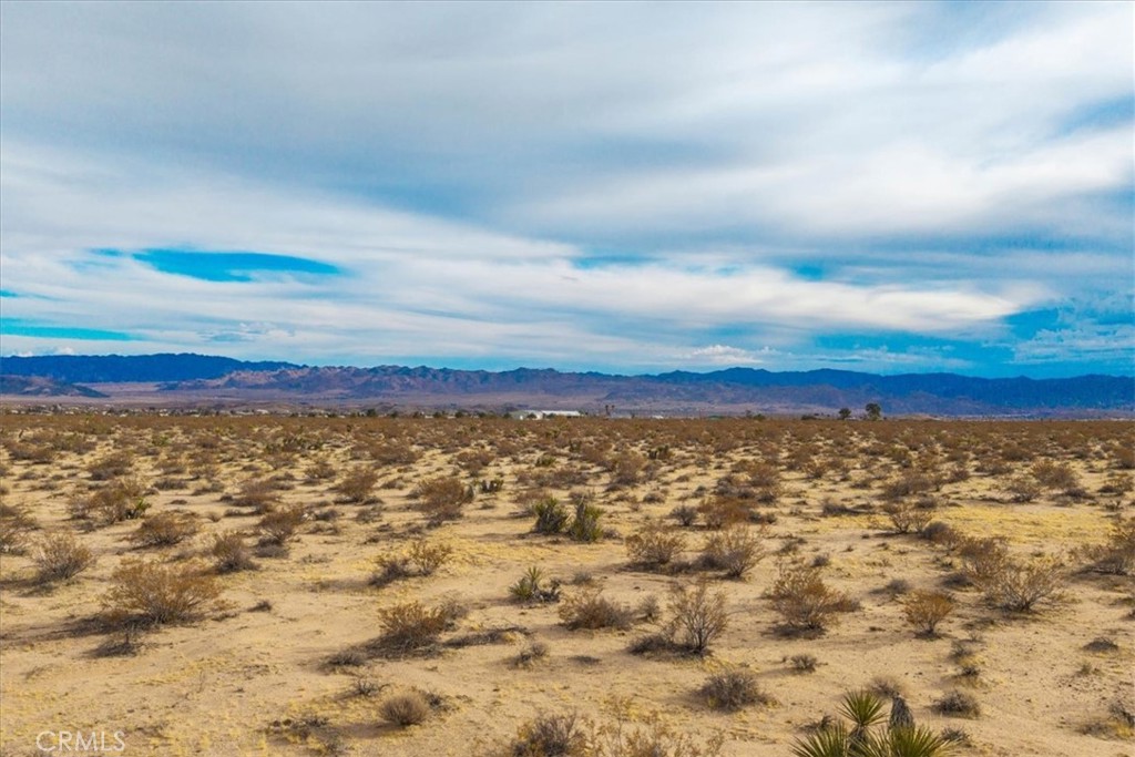 62155 Moonlight Mesa Street Joshua Tree, CA 92252 - Photo 6 of 29