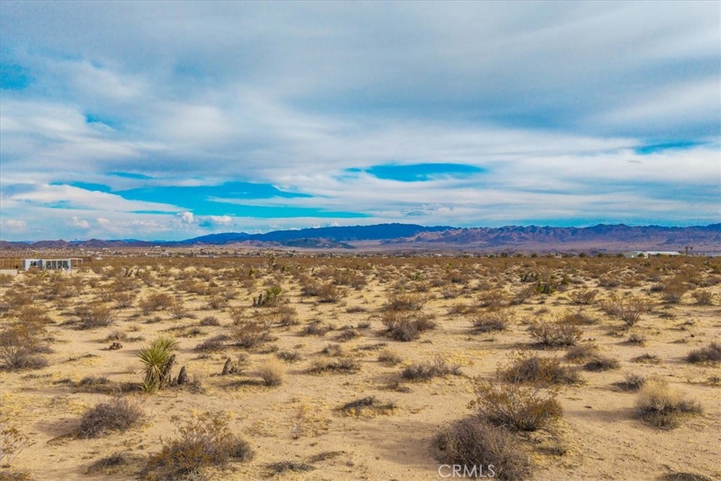 62155 Moonlight Mesa Street Joshua Tree, CA 92252 - Photo 7 of 29