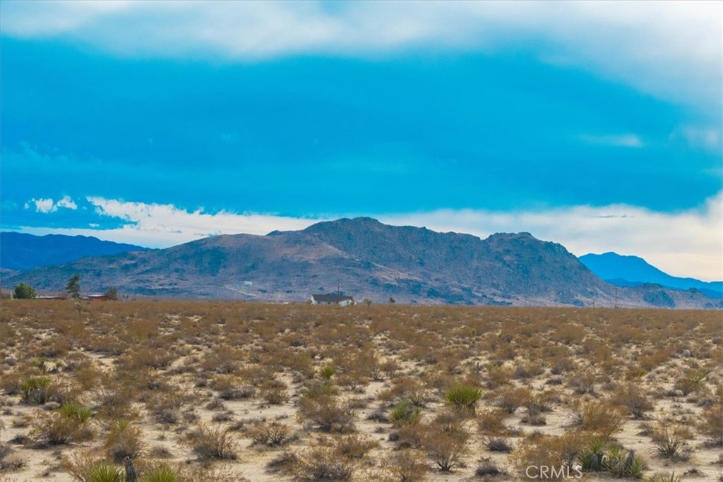62155 Moonlight Mesa Street Joshua Tree, CA 92252 - Photo 10 of 29 a view of an outdoor space and mountain view