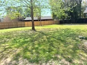 a view of backyard with large tree