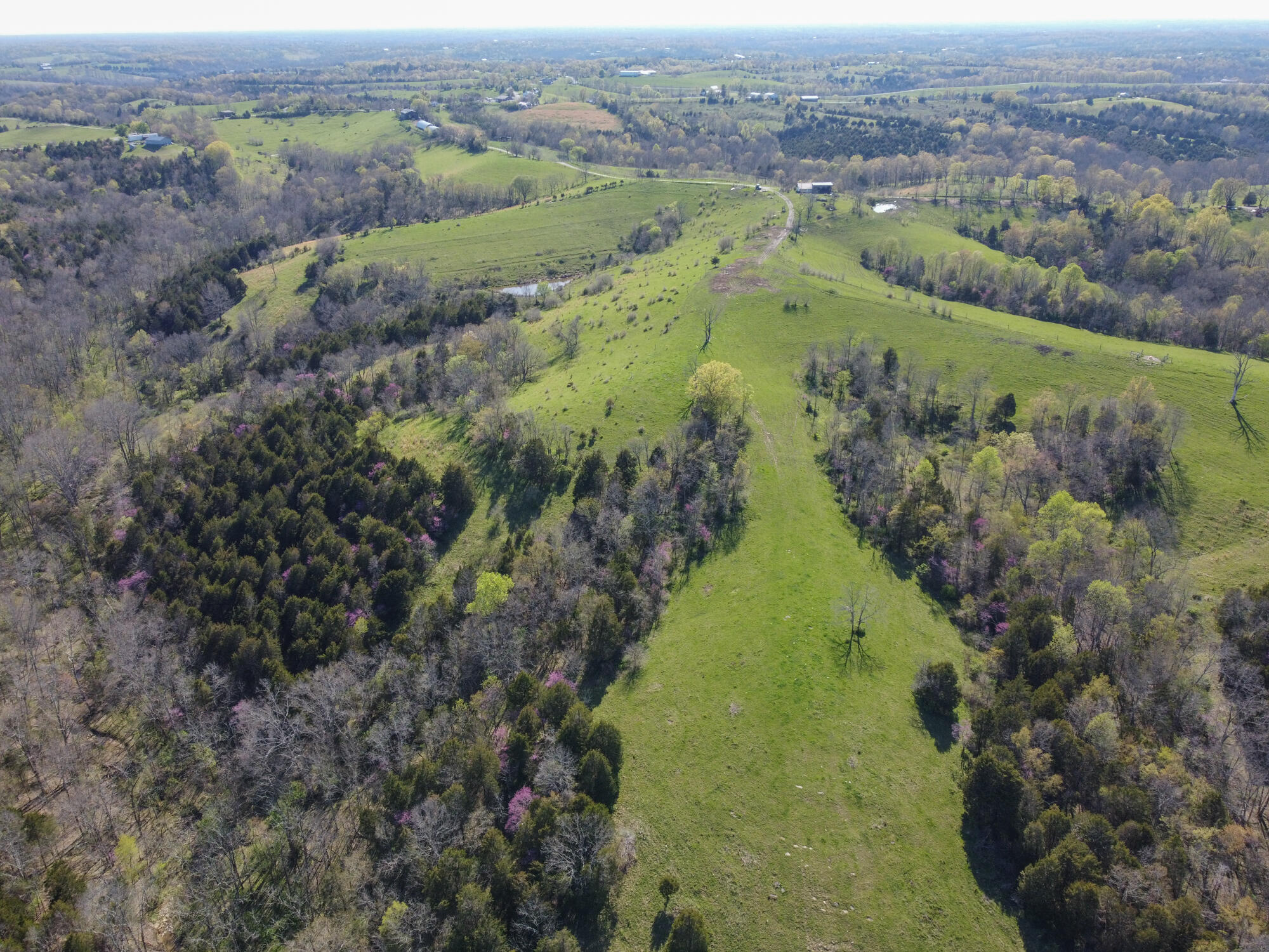 214-acres Keefer Road Corinth, KY 41010 - Photo 35 of 39 Keefer-38