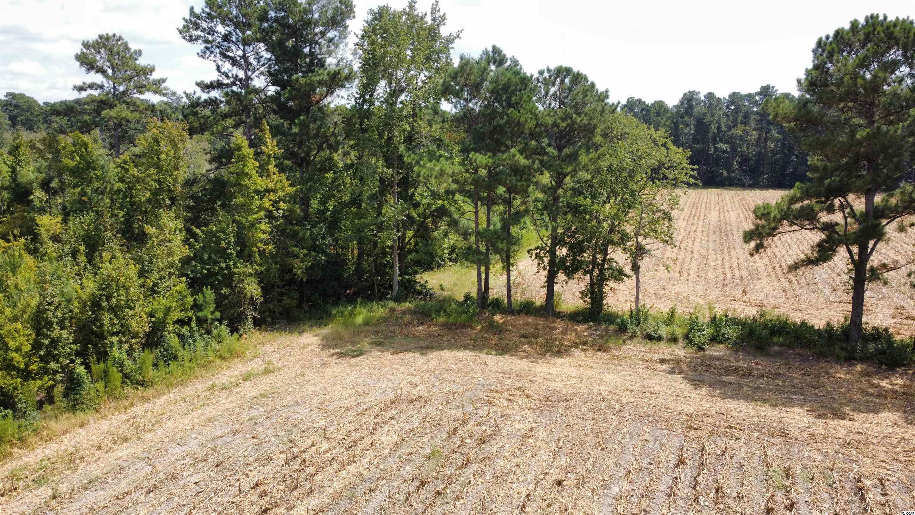 Tbd-a Norton Road Green Sea, SC 29545 - Photo 7 of 11 Gallery Image 7