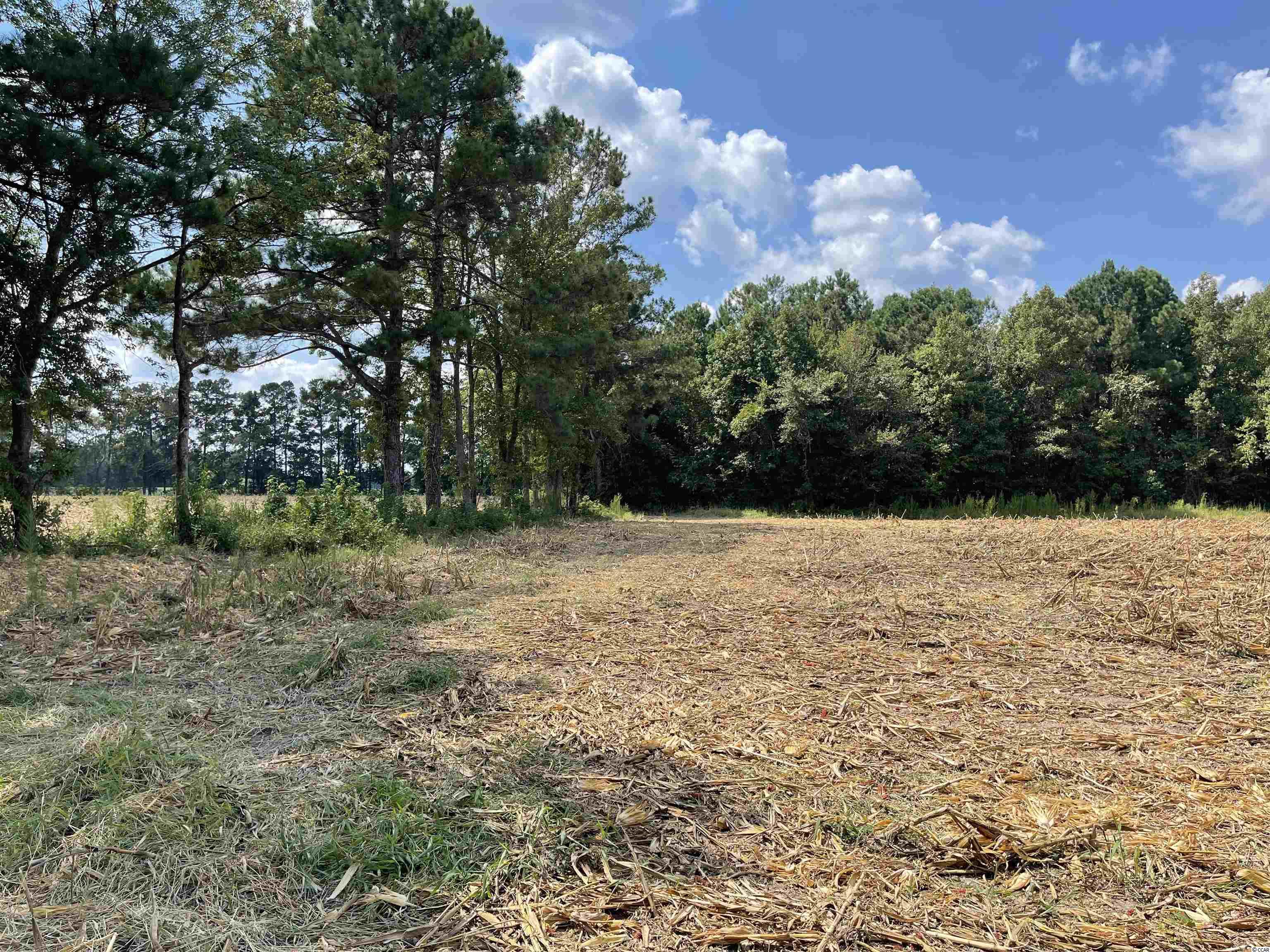 Tbd-a Norton Road Green Sea, SC 29545 - Photo 10 of 11 Gallery Image 10