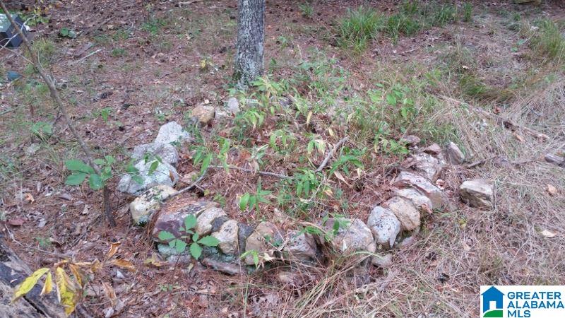 793 County Road Centre, AL 35960 - Photo 9 of 32