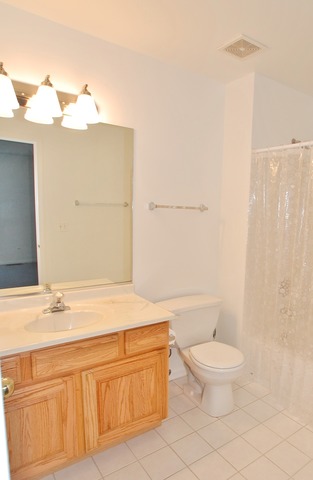 2103 Ivy Ridge Drive Hoffman Estates, IL 60192 - Photo 14 of 24 a bathroom with a sink a toilet and a bathtub