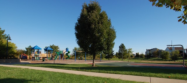 2103 Ivy Ridge Drive Hoffman Estates, IL 60192 - Photo 23 of 24 a view of a park