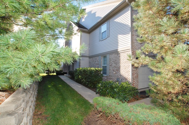 2103 Ivy Ridge Drive Hoffman Estates, IL 60192 - Photo 3 of 24 a backyard of a house with plants and large trees