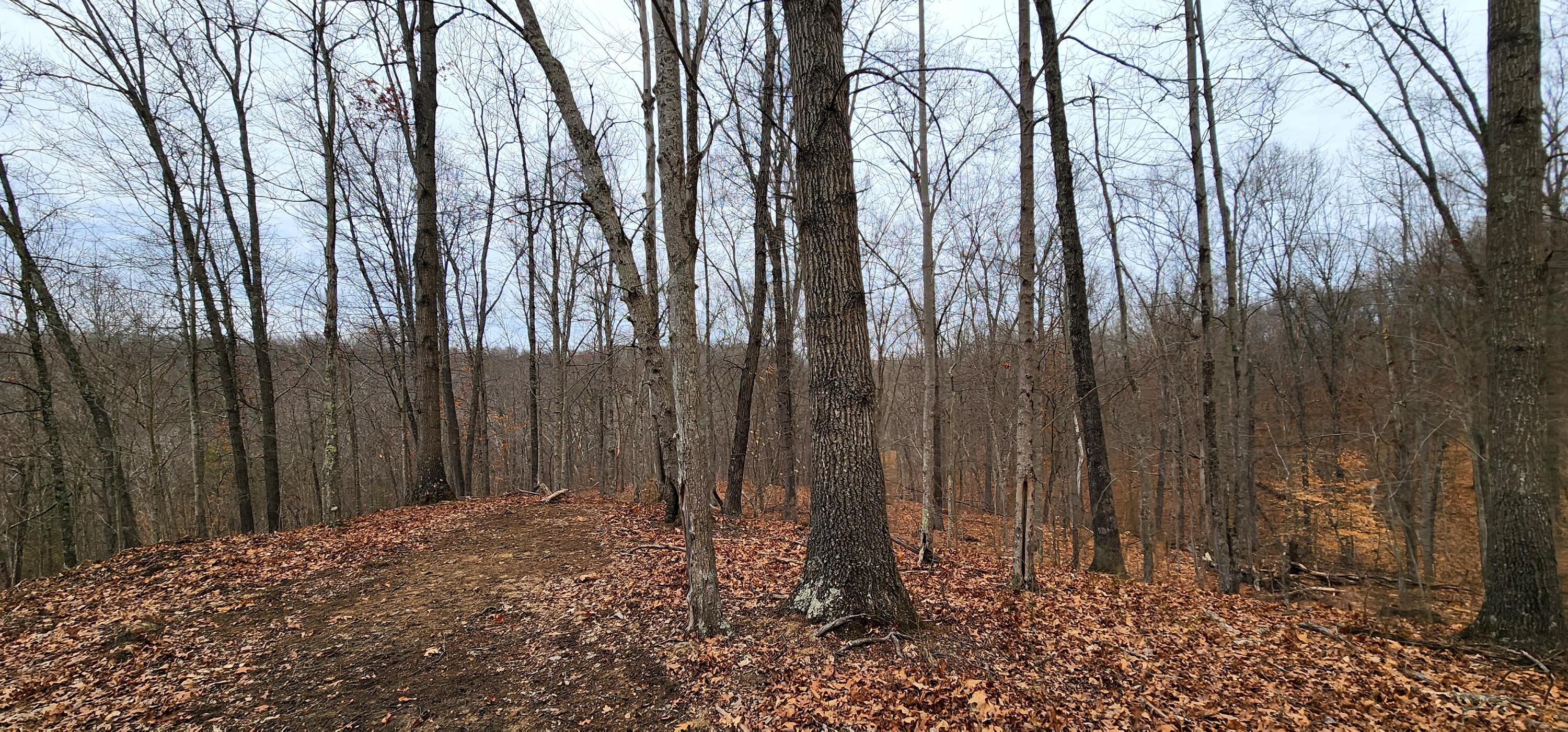 0 Edmundson Road, Unit TRACT 4 AT BIG TIMBER) Vinton, OH 45686 - Photo 61 of 67 20250307_120206