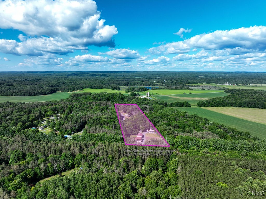 620 County Rte 48 Altmar, NY 13302 - Photo 3 of 47