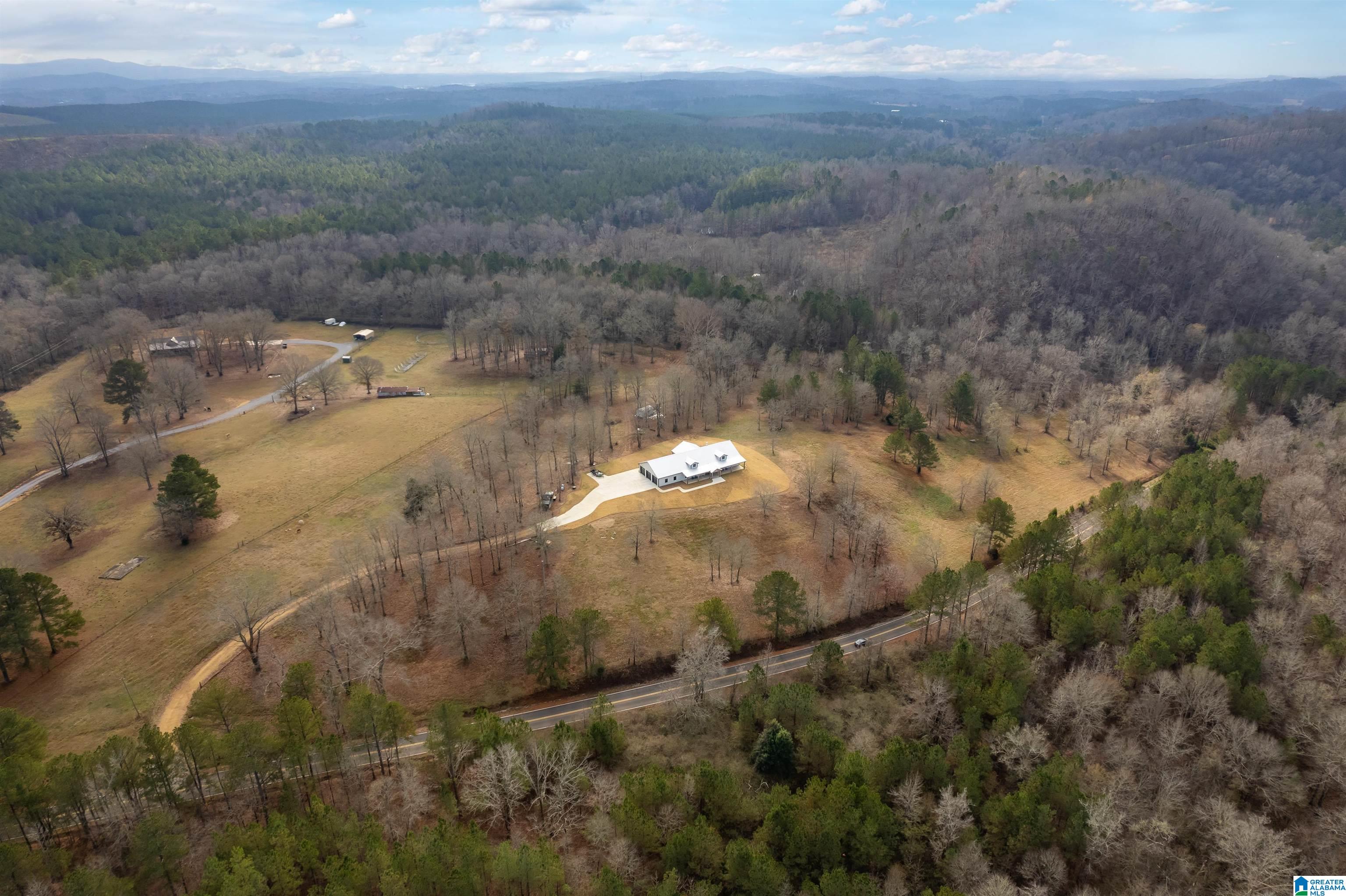 674 Dry Creek Road Cropwell, AL 35054 - Photo 40 of 49