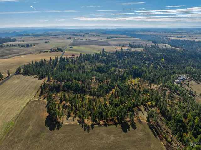 $875,000 | 1703 Little Bear Ridge Road, Troy, ID 83871