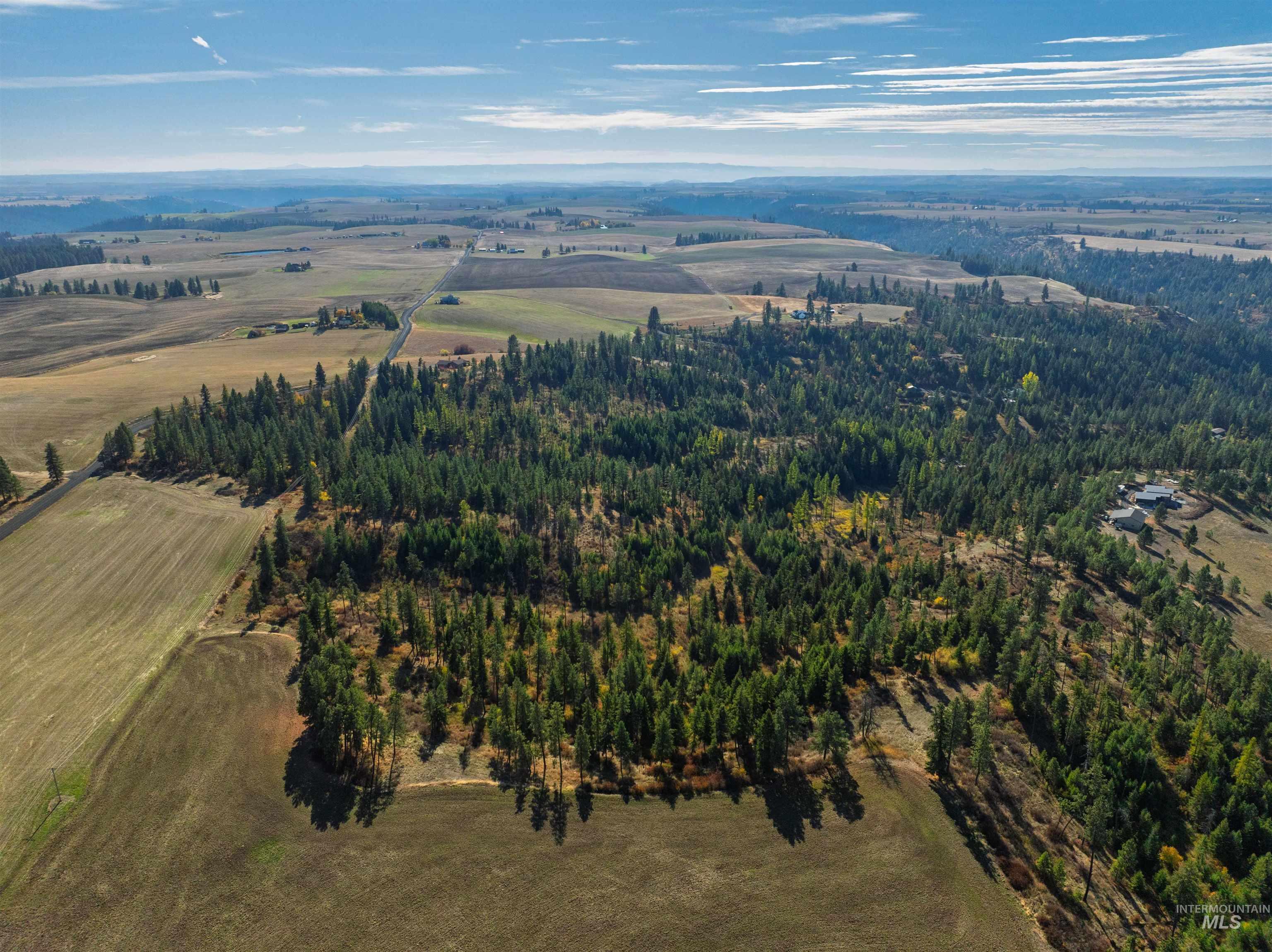 1703 Little Bear Ridge Road Troy, ID 83871 - Photo 40 of 50