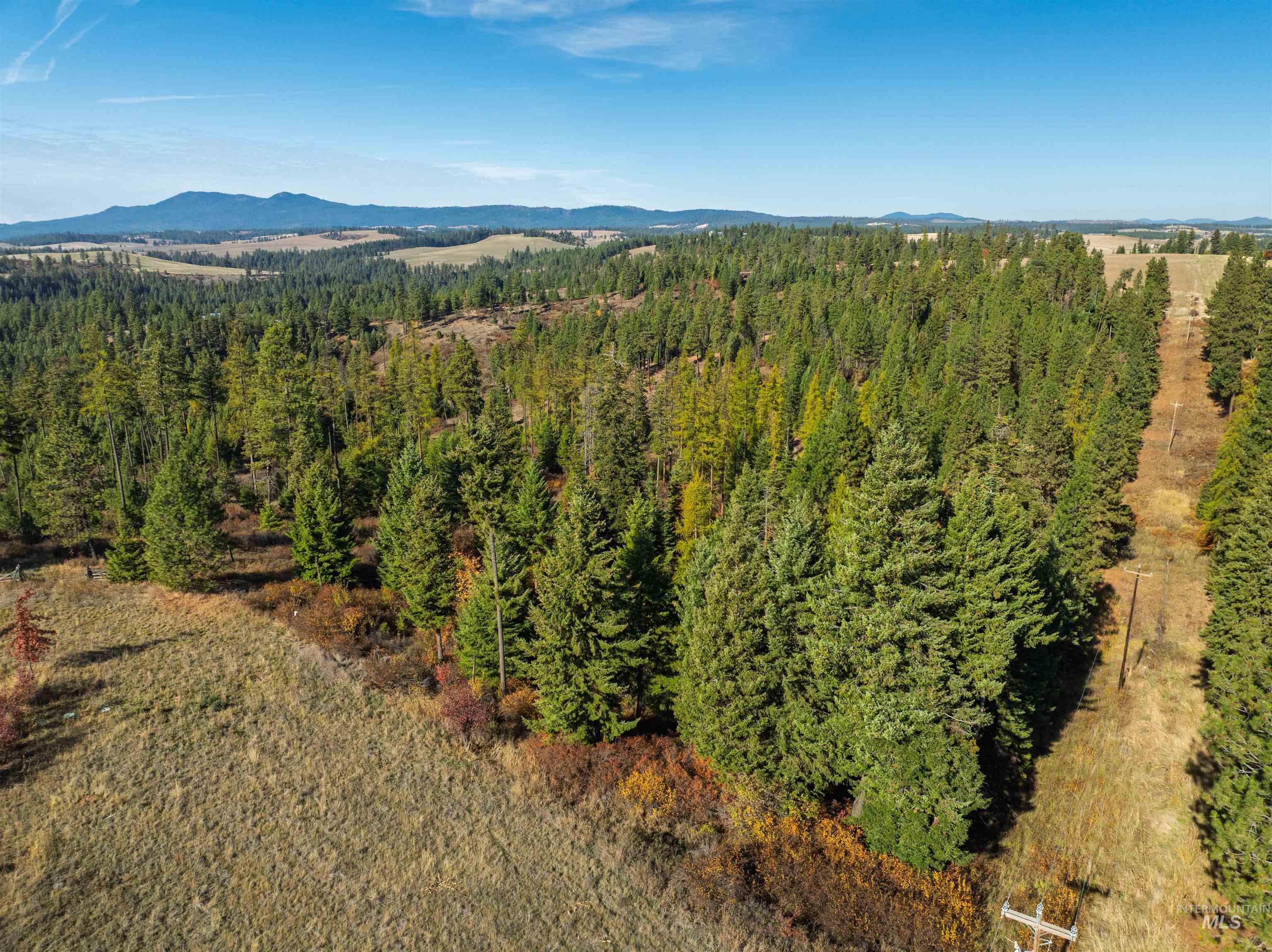 1703 Little Bear Ridge Road Troy, ID 83871 - Photo 42 of 50