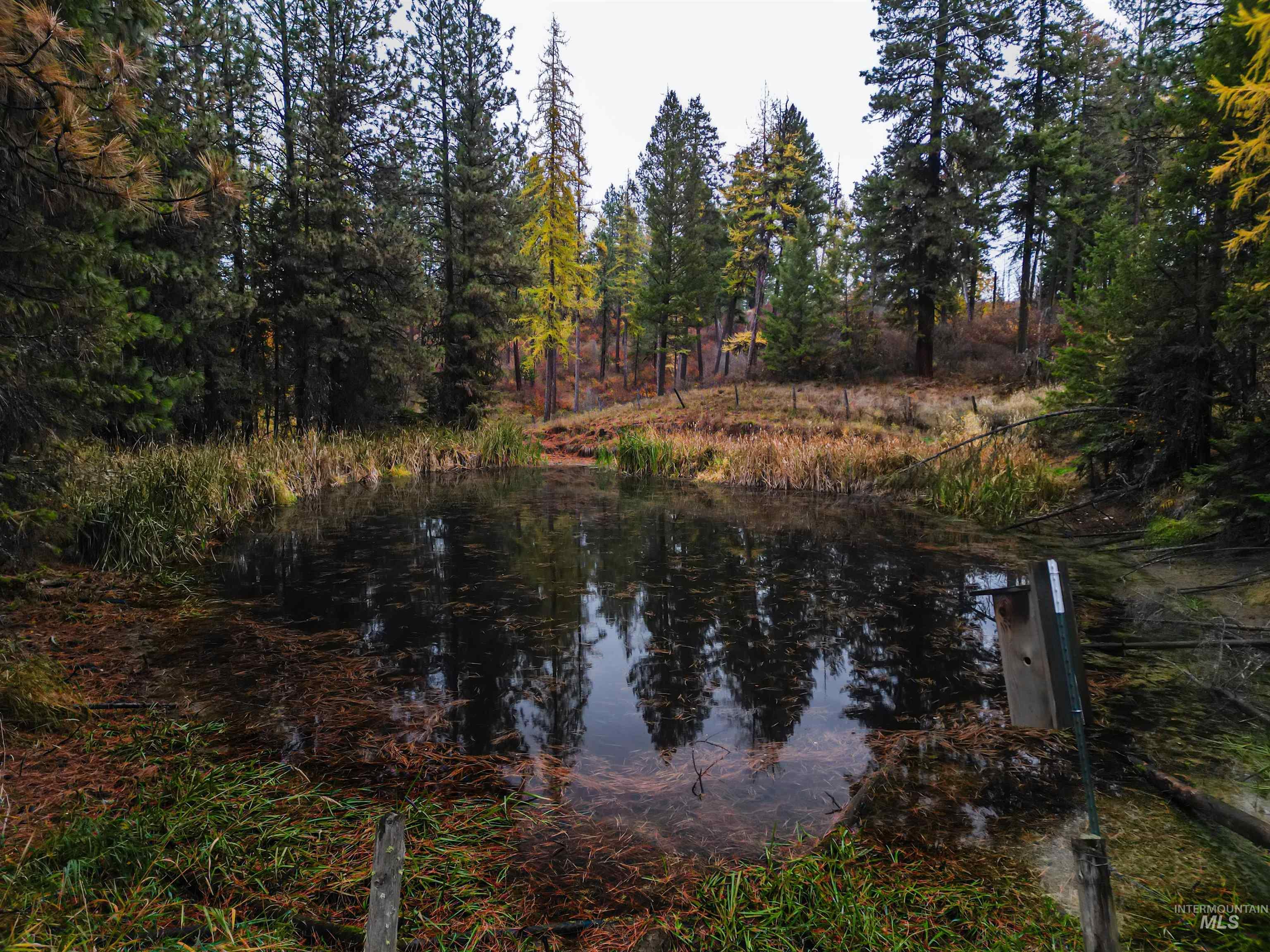 1703 Little Bear Ridge Road Troy, ID 83871 - Photo 43 of 50