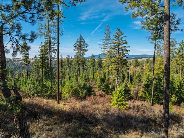 $875,000 | 1703 Little Bear Ridge Road, Troy, ID 83871