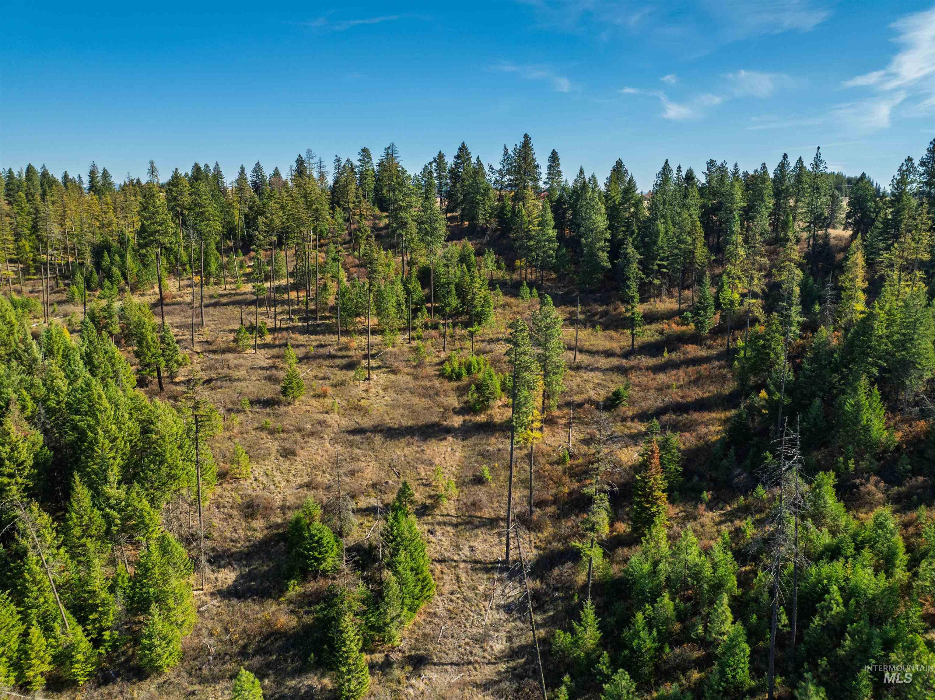 1703 Little Bear Ridge Road Troy, ID 83871 - Photo 46 of 50