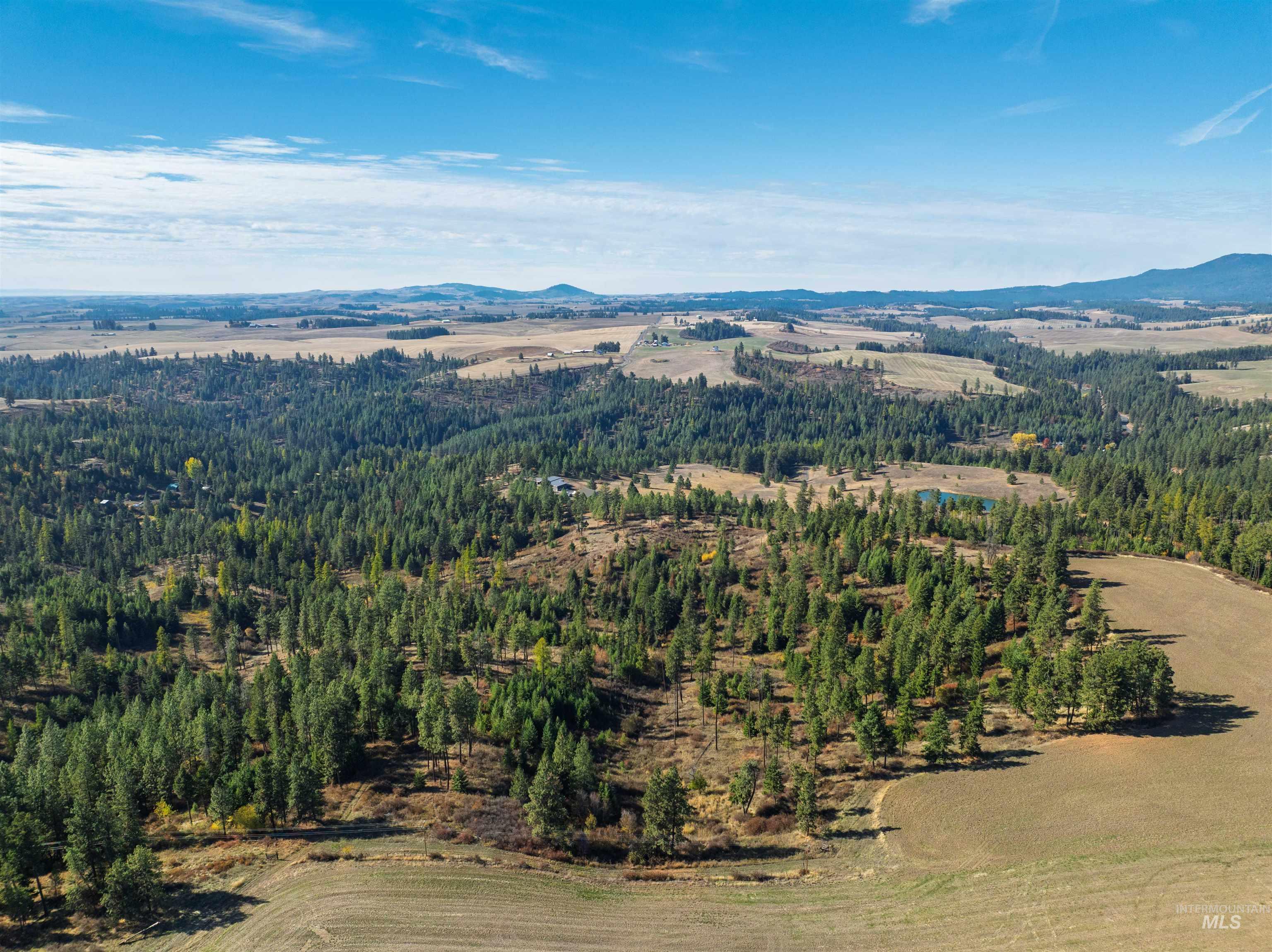 1703 Little Bear Ridge Road Troy, ID 83871 - Photo 47 of 50