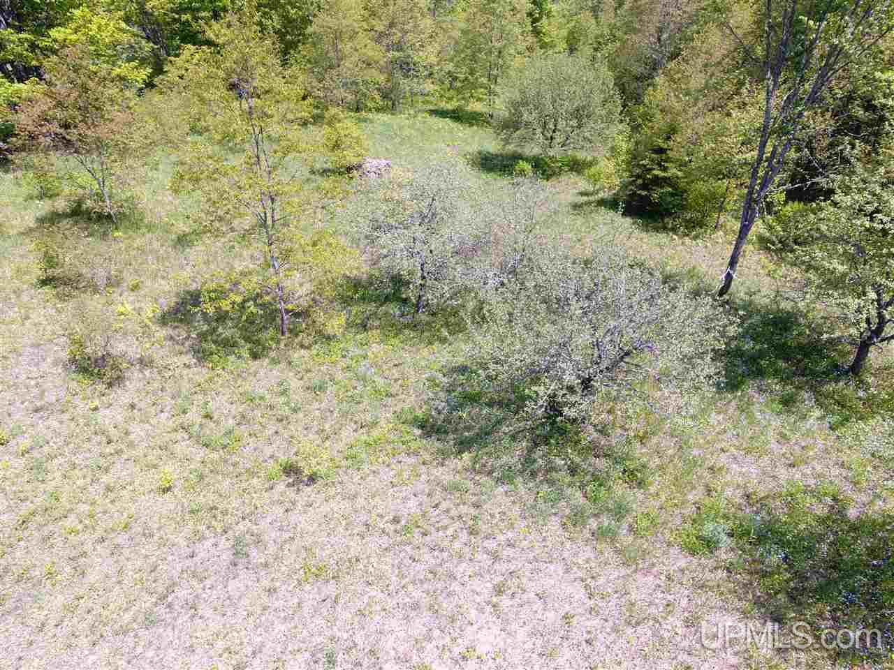 Tbd Tbd Akkala Road Eben Junction, MI 49825 - Photo 4 of 12