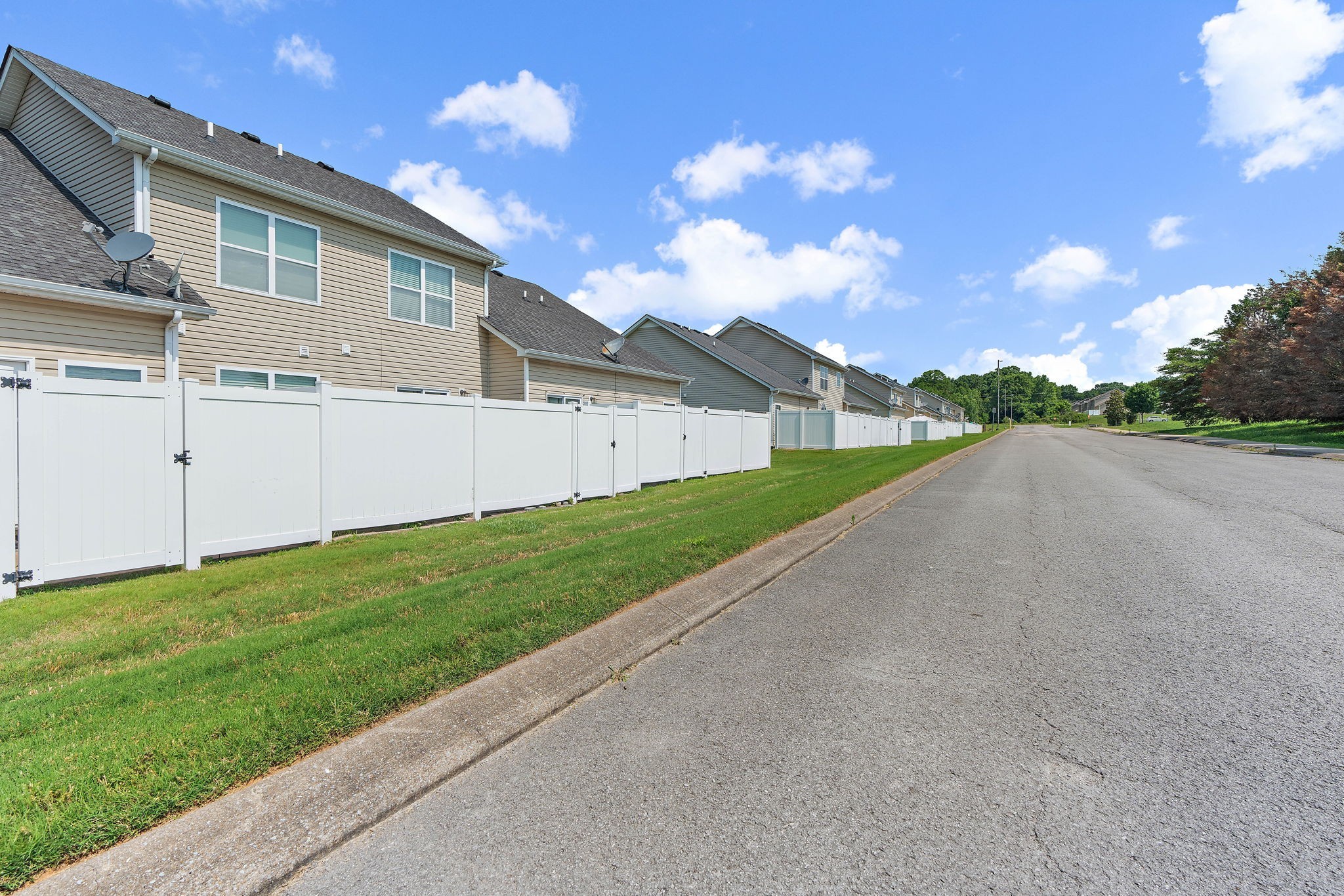 1071 Muna Court Spring Hill, TN 37174 - Photo 36 of 50 a view of a backyard of the house