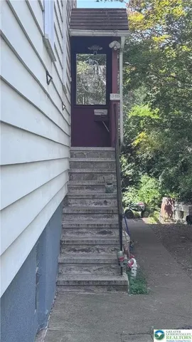 a view of a yard with plants and large trees
