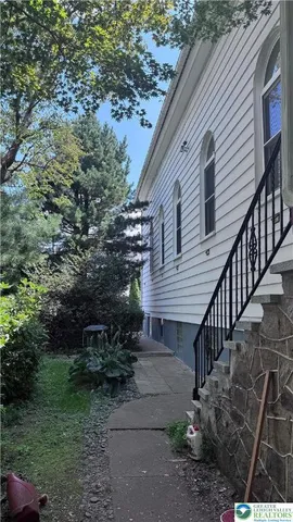 a view of a lush green forest