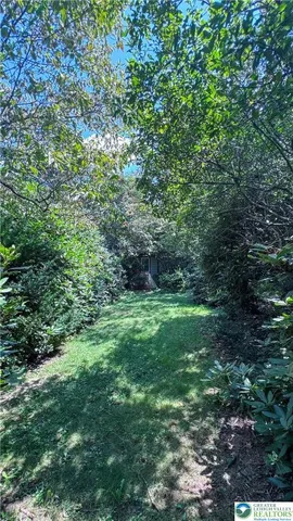 a plant view in yard